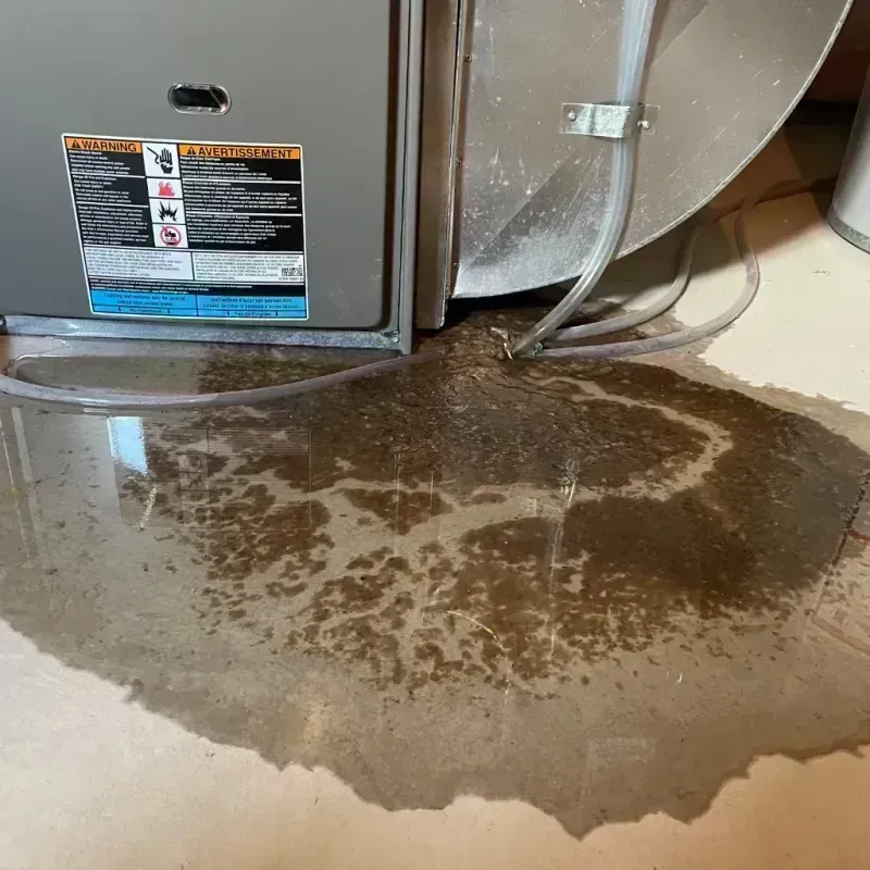 Appliance Leak Cleanup in Roberts, WI